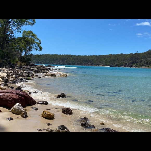 Meet your Posher, Ruby - Picture 1 of 1